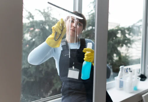 Nettoyage de vitres intérieures et extérieures à Saint-Georges-du-Bois